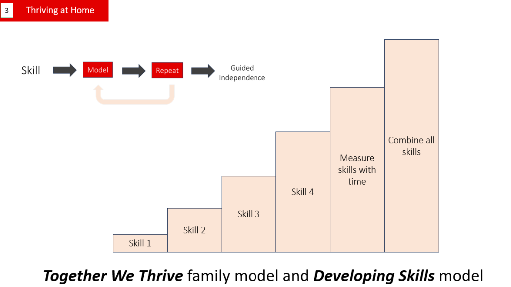 both models both models